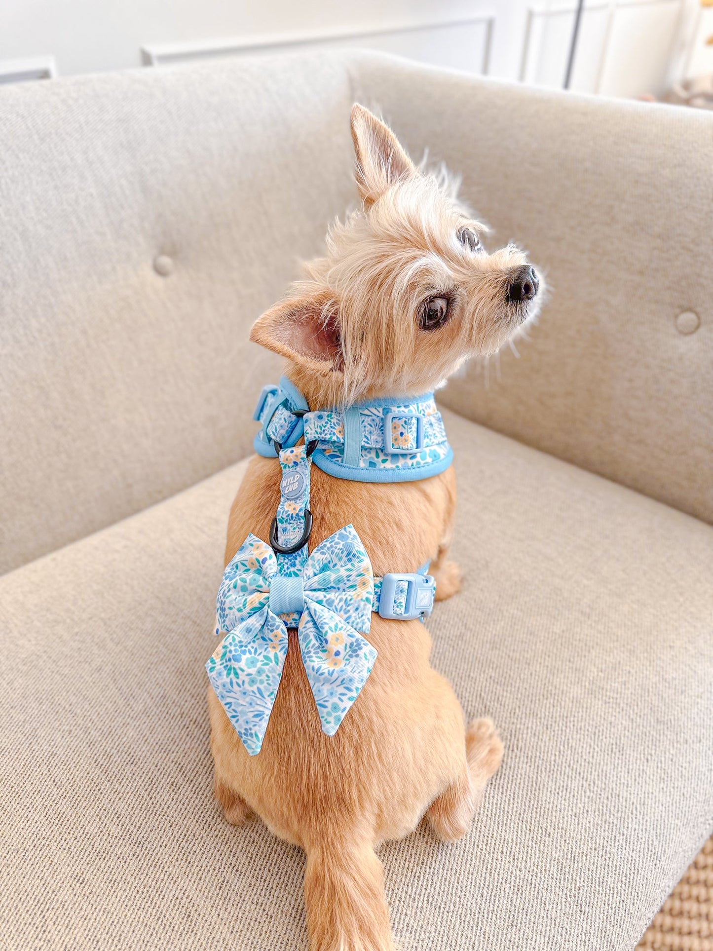 Wyld Cub - Dog Sailor Bow Tie: Notting Hill Sky