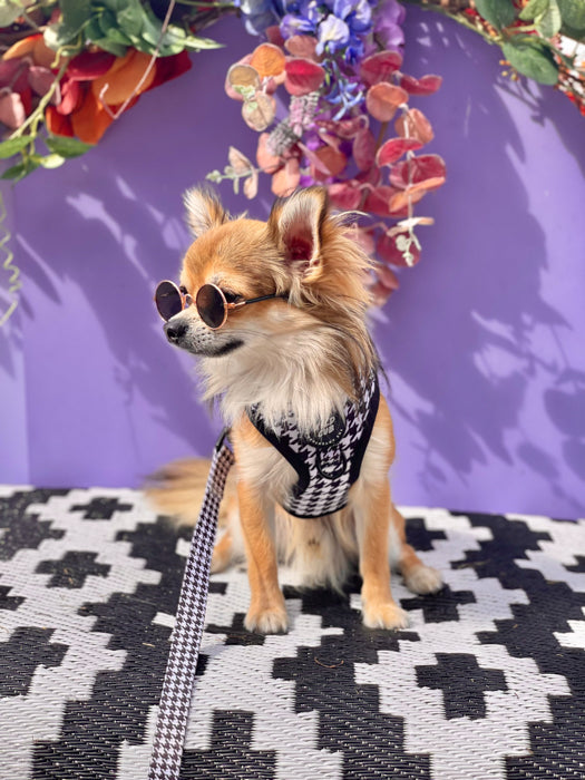 Wyld Cub - Adjustable Dog Harness: Knightsbridge Houndstooth