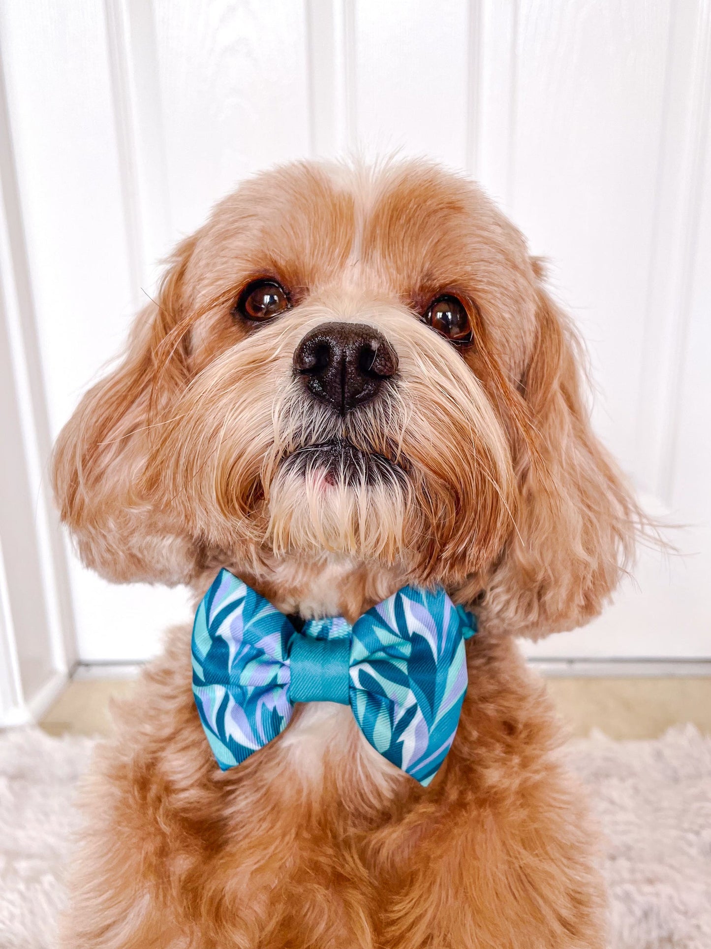 Wyld Cub - Dog Bow Tie: Kew Agave