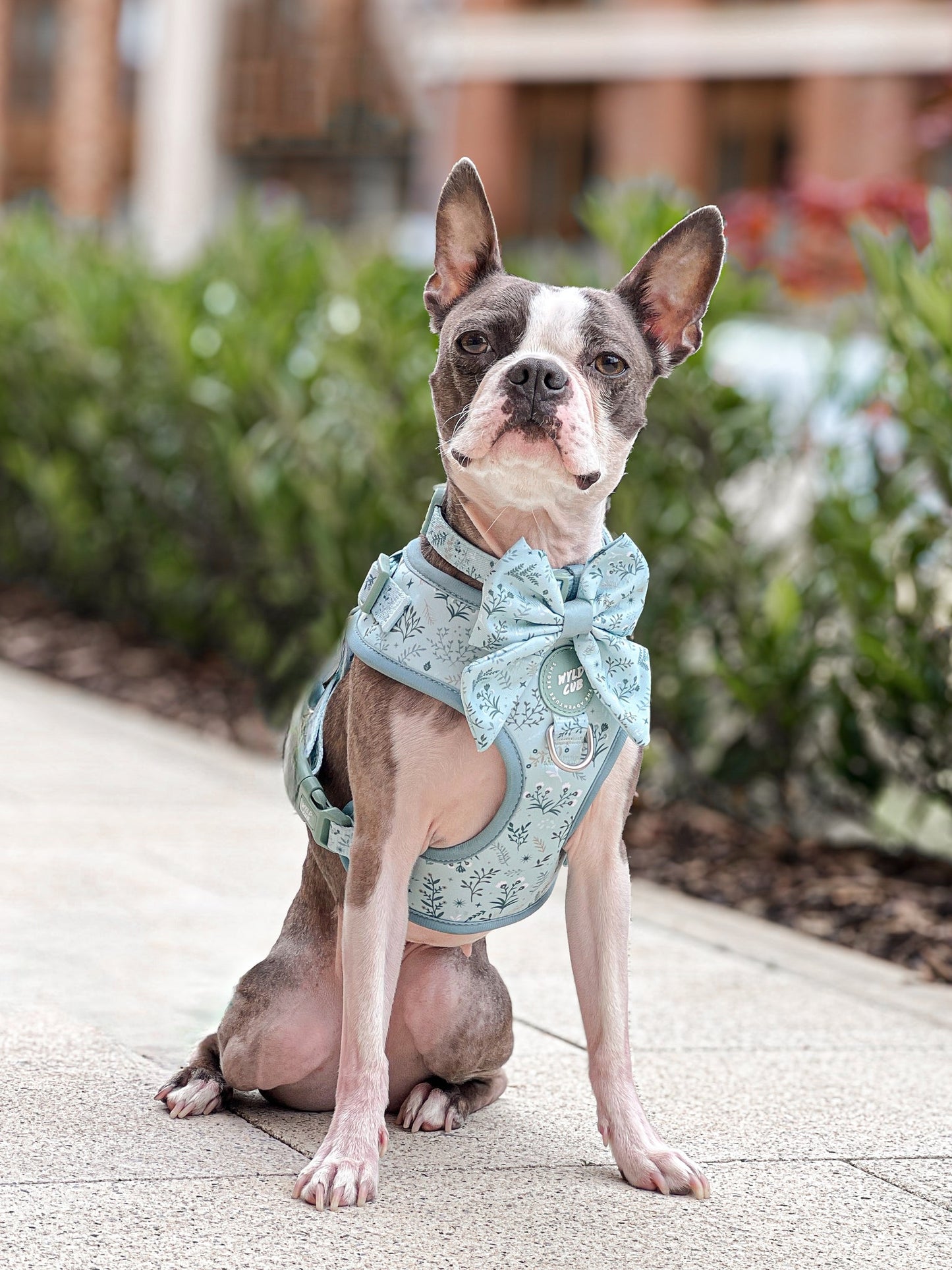 Wyld Cub - Dog Sailor Bow Tie: Chiswick Pistachio