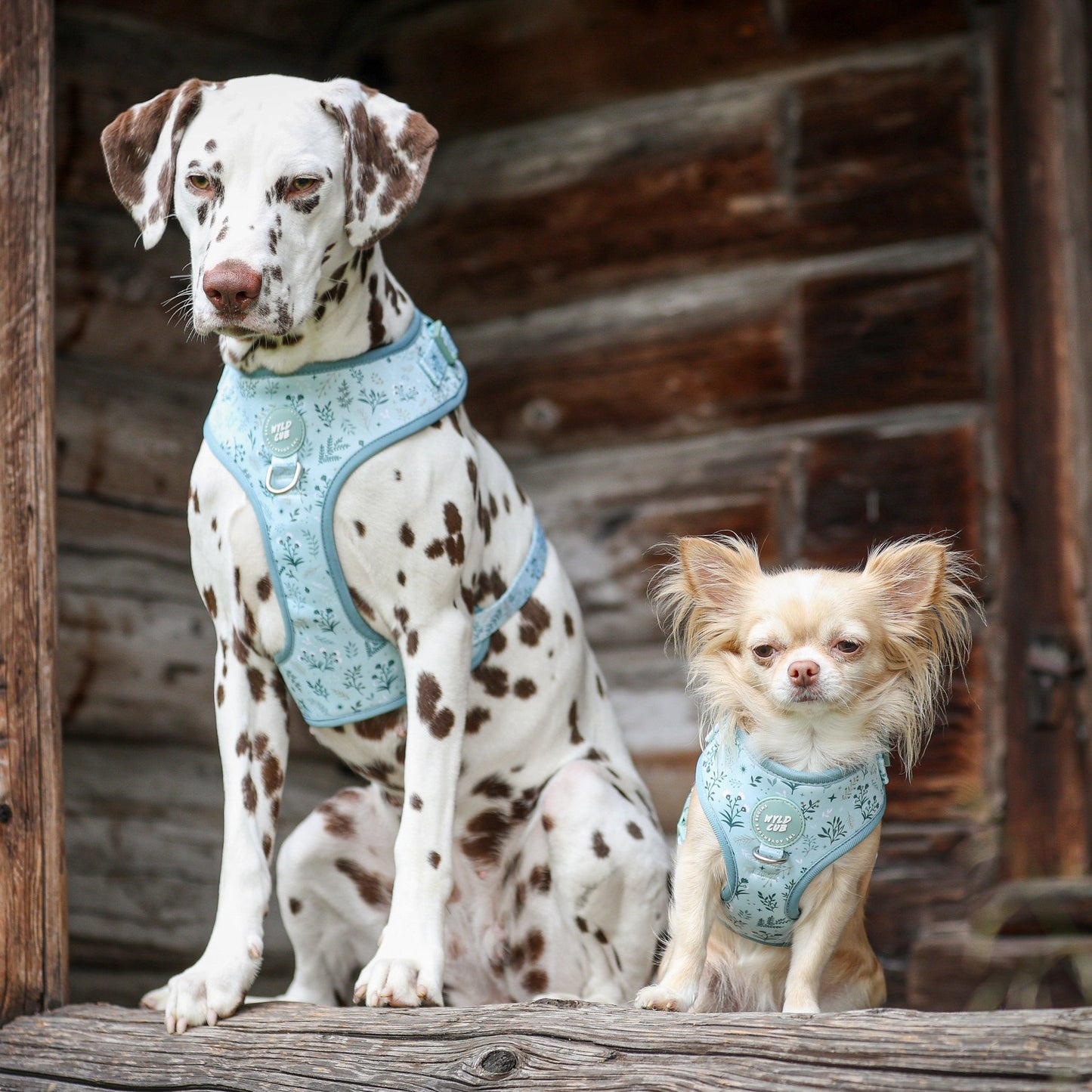 Wyld Cub - Adjustable Dog Harness: Chiswick Pistachio