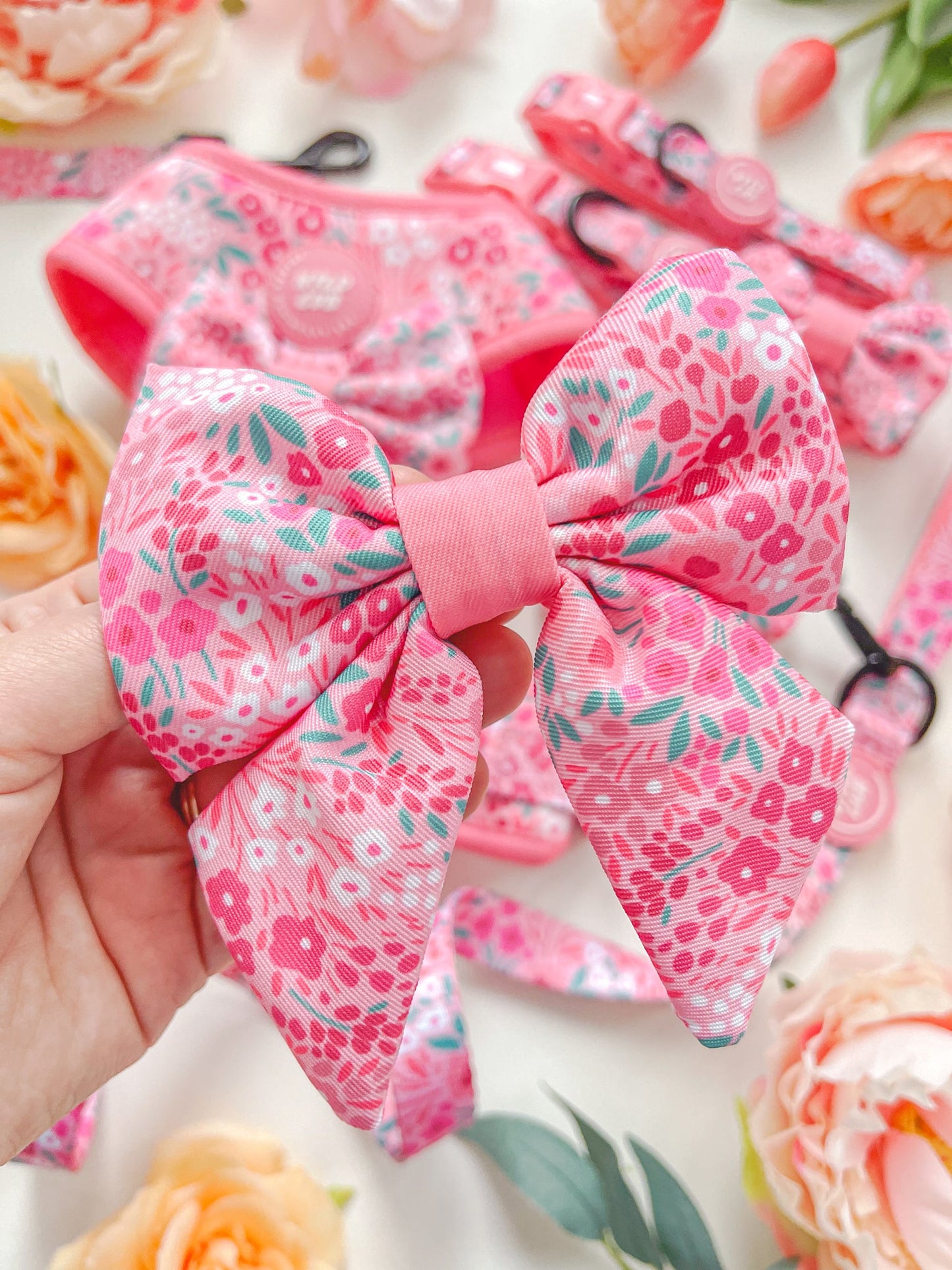 Wyld Cub - Dog Sailor Bow Tie: Notting Hill Rosé