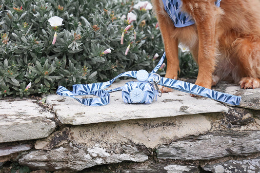 Wyld Cub - Dog Lead: Kew Celeste