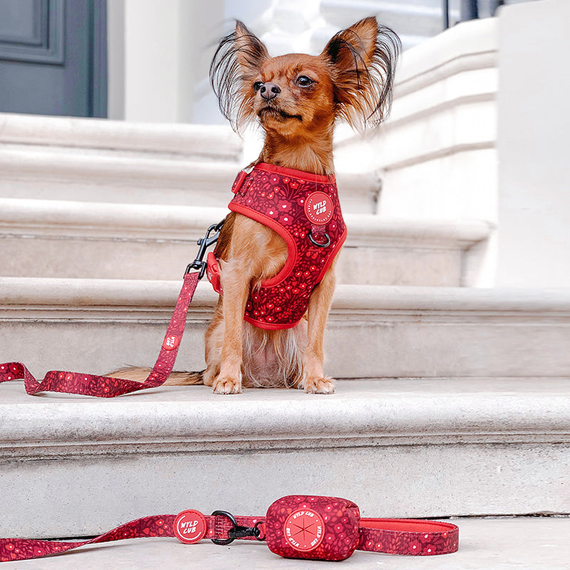 Wyld Cub - Dog Poop Bag Holder: Notting Hill Mulberry