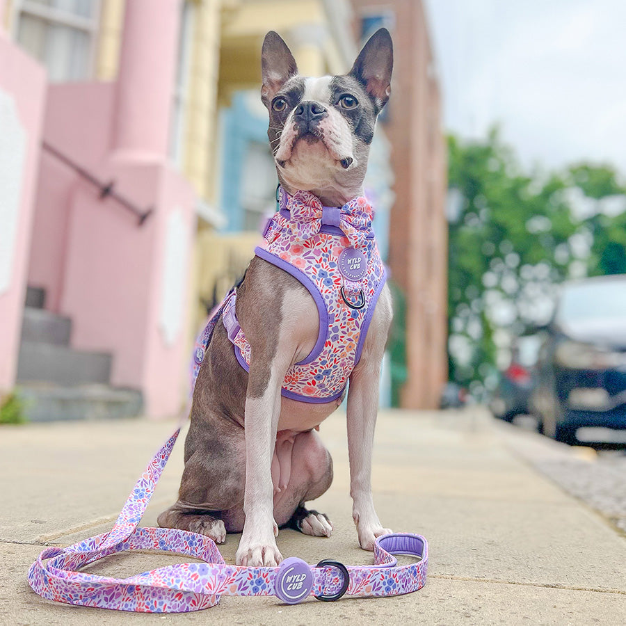 Wyld Cub - Dog Lead: Notting Hill Lilac