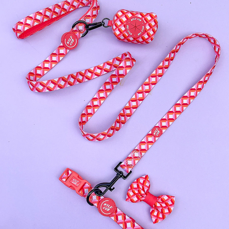 Wyld Cub - Adjustable Dog Collar: Knightsbridge Coral