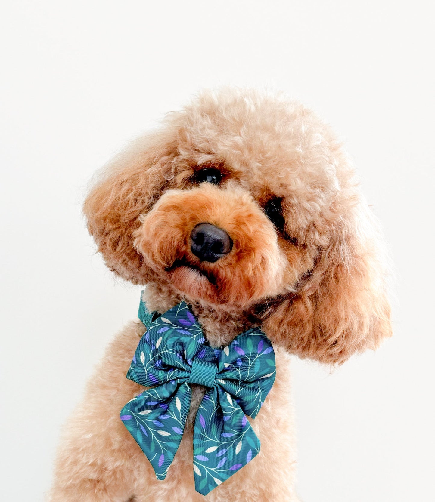 Wyld Cub - Dog Sailor Bow Tie: Hampstead Evergreen