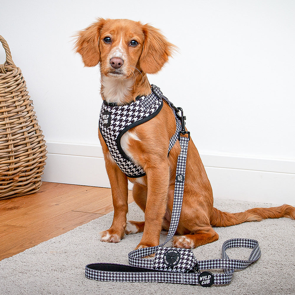 Wyld Cub - Adjustable Dog Harness: Knightsbridge Houndstooth