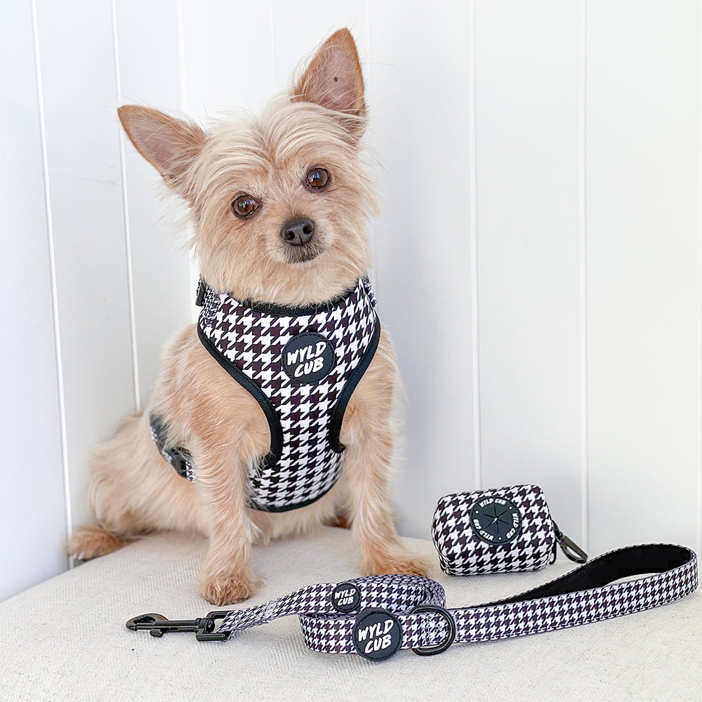 Wyld Cub - Dog Lead: Knightsbridge Houndstooth