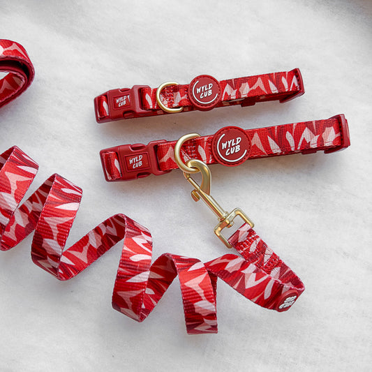 Wyld Cub - Adjustable Dog Collar: Kew Acer