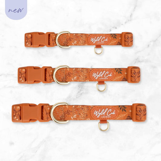 Wyld Cub - Adjustable Dog Collar: Chiswick Ginger