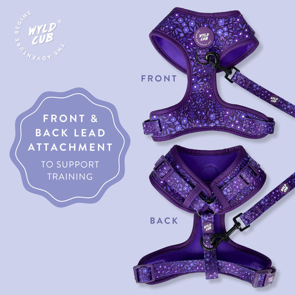 Wyld Cub - Adjustable Dog Harness: Notting Hill Blackberry