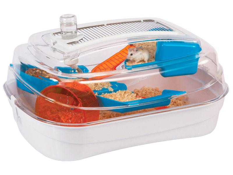 Abode - Blue & Orange - North East Pet Shop Rosewood