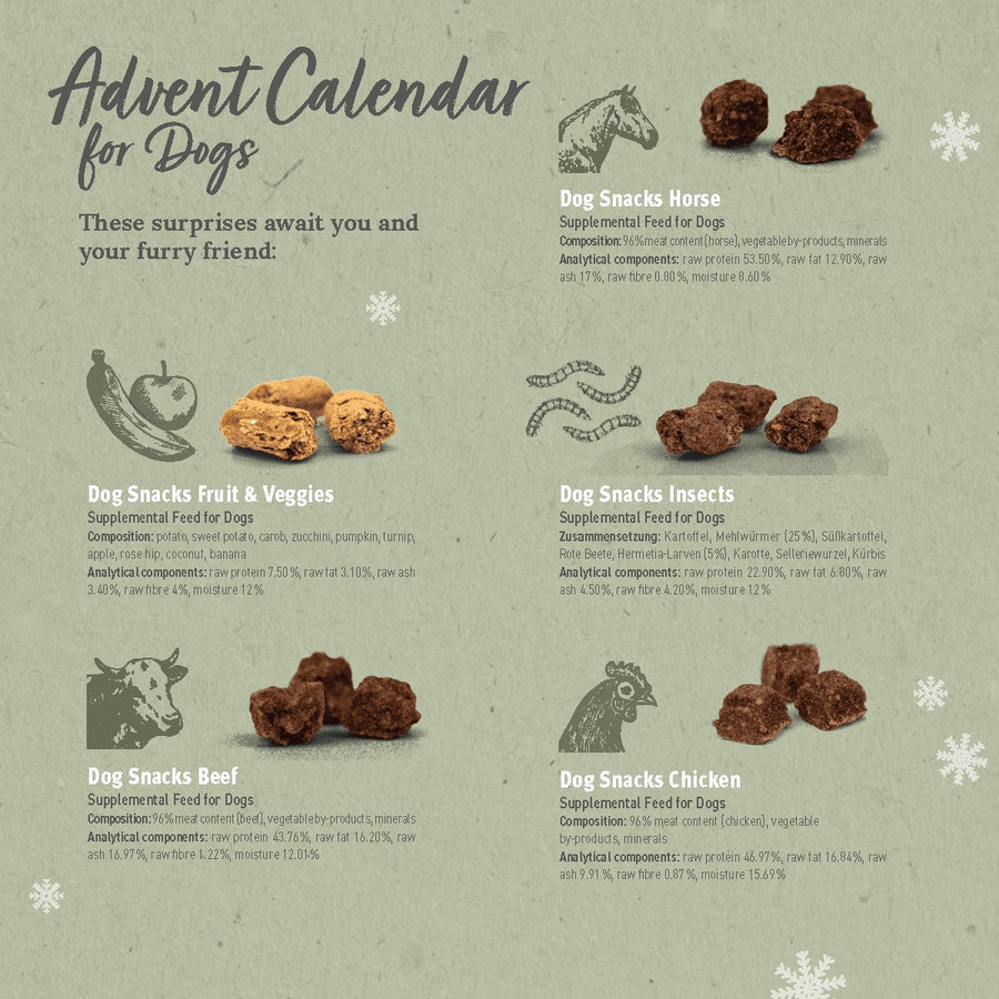 Advent Calendar "Merry Christmas" for Dogs