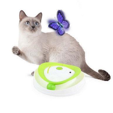 All For Paws Interactives - Roll Around Flutter Bug - North East Pet Shop All For Paws