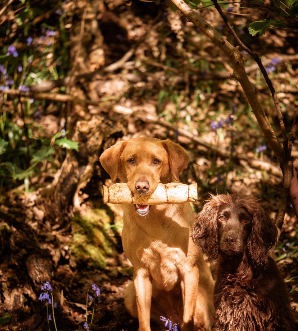 Anco Naturals Buffalo Rolls with Peanut Butter - North East Pet Shop Anco.