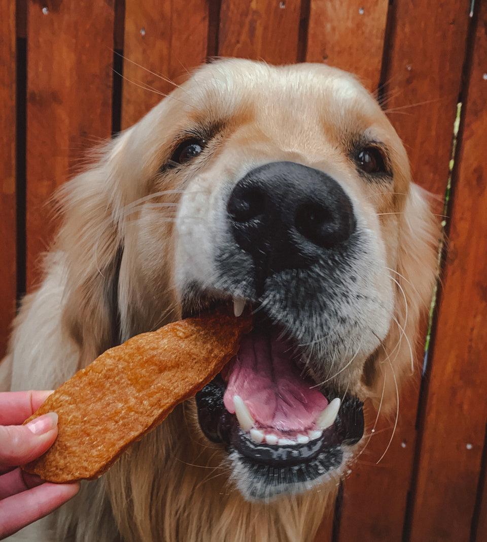 Anco Naturals Chicken Jerky - North East Pet Shop Anco.