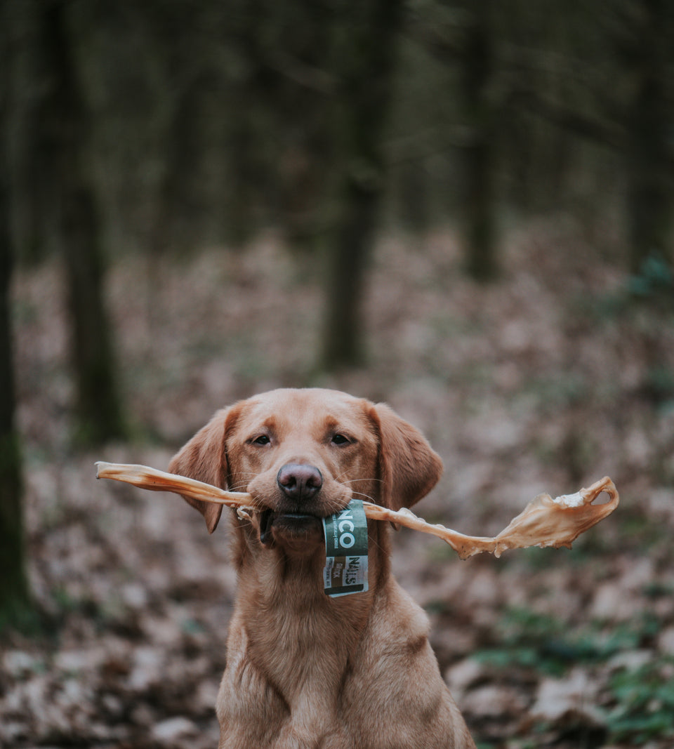 Anco Naturals Giant Goat Stick - North East Pet Shop Anco.