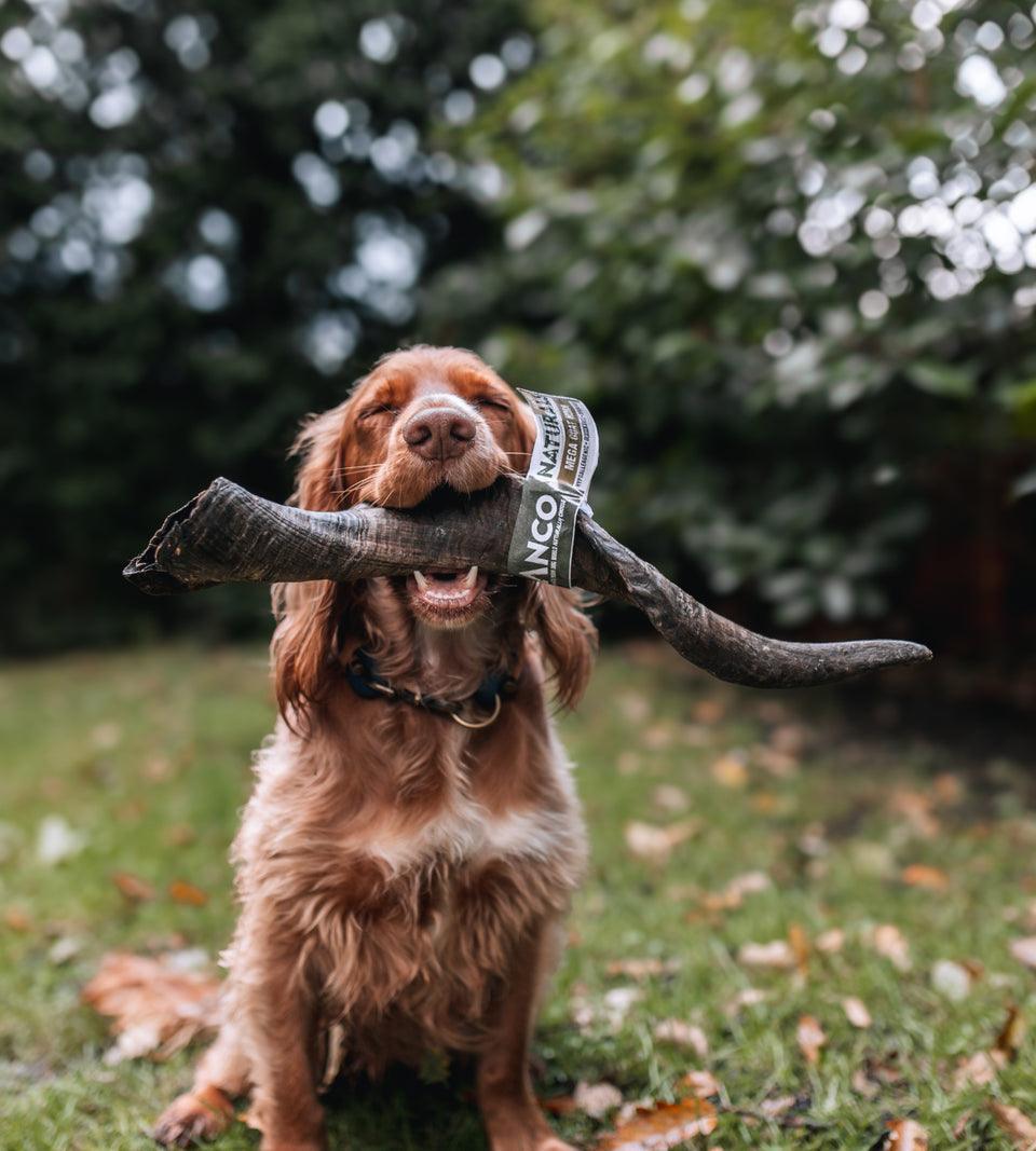 Anco Naturals Goat Horn - North East Pet Shop Anco.
