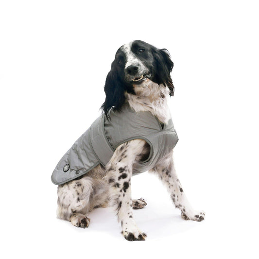 Ancol Muddy P Ultimate Reflect Coat - North East Pet Shop Ancol