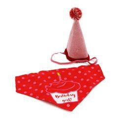 Ancol Pawty Its My Birthday Hat & Bandana, pink - North East Pet Shop Ancol