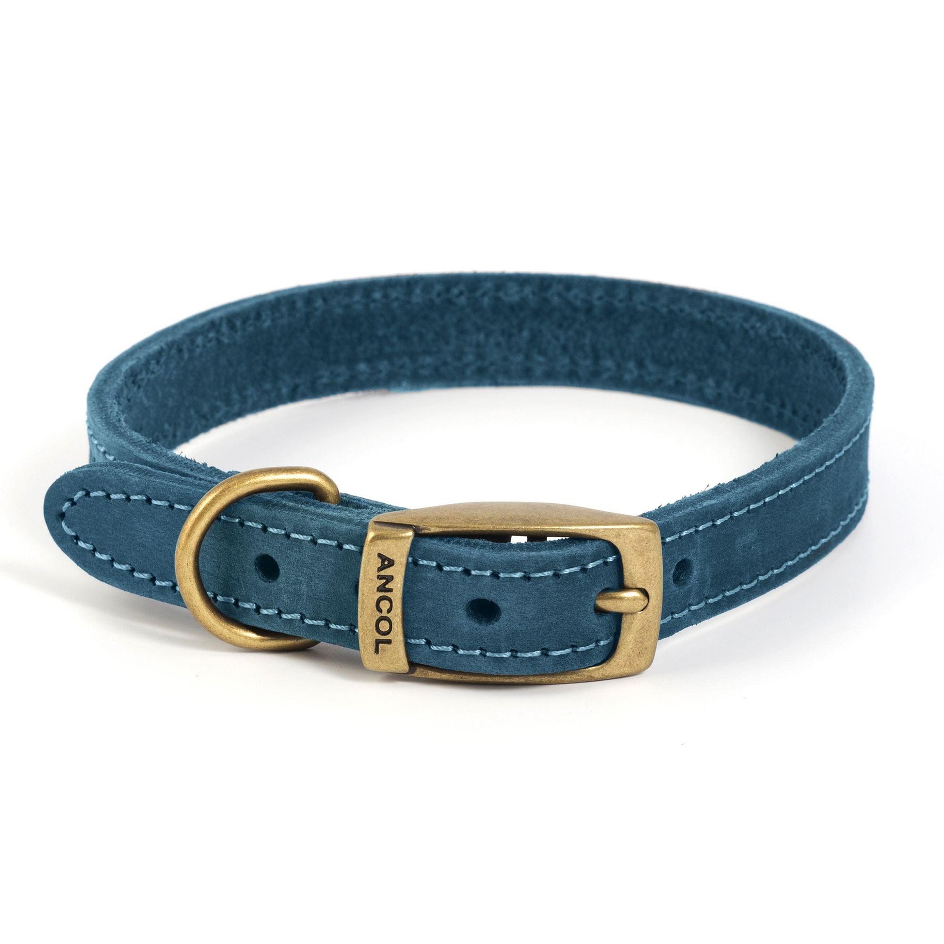 Ancol Timberwolf Collar Blue 16" S3 - North East Pet Shop Ancol