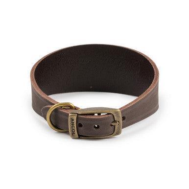Ancol Timberwolf Whippet Leather Collar Sable 30-34cm - North East Pet Shop ANCOL