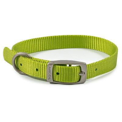 Ancol Viva Buckle Col Lime 20-26cm - North East Pet Shop Ancol