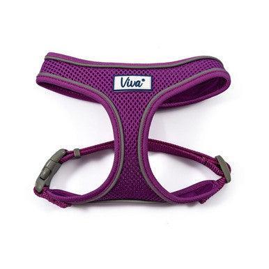 Ancol Viva Comfort Dog Harness Purple XS 28-40cm - North East Pet Shop ANCOL