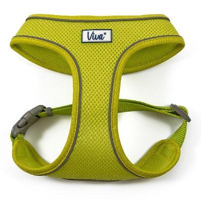 Ancol Viva Mesh Harn Lime 34-45cm - North East Pet Shop Ancol