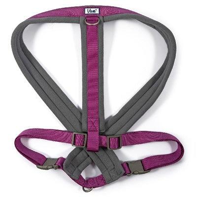 Ancol Viva Pad Harness Prpl 97-130cm - North East Pet Shop Ancol