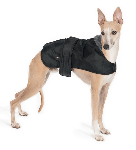 Ancol Whippet Coat Black - North East Pet Shop Ancol