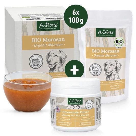 AniForte® Small Digestion Bundle - North East Pet Shop Aniforte