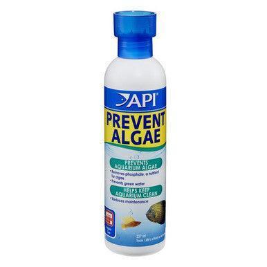 API Liquid Prevent Algae 237ml - North East Pet Shop API