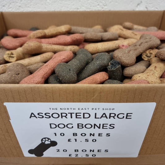 Assorted Large Dog Bones - North East Pet Shop North East Pet Shop