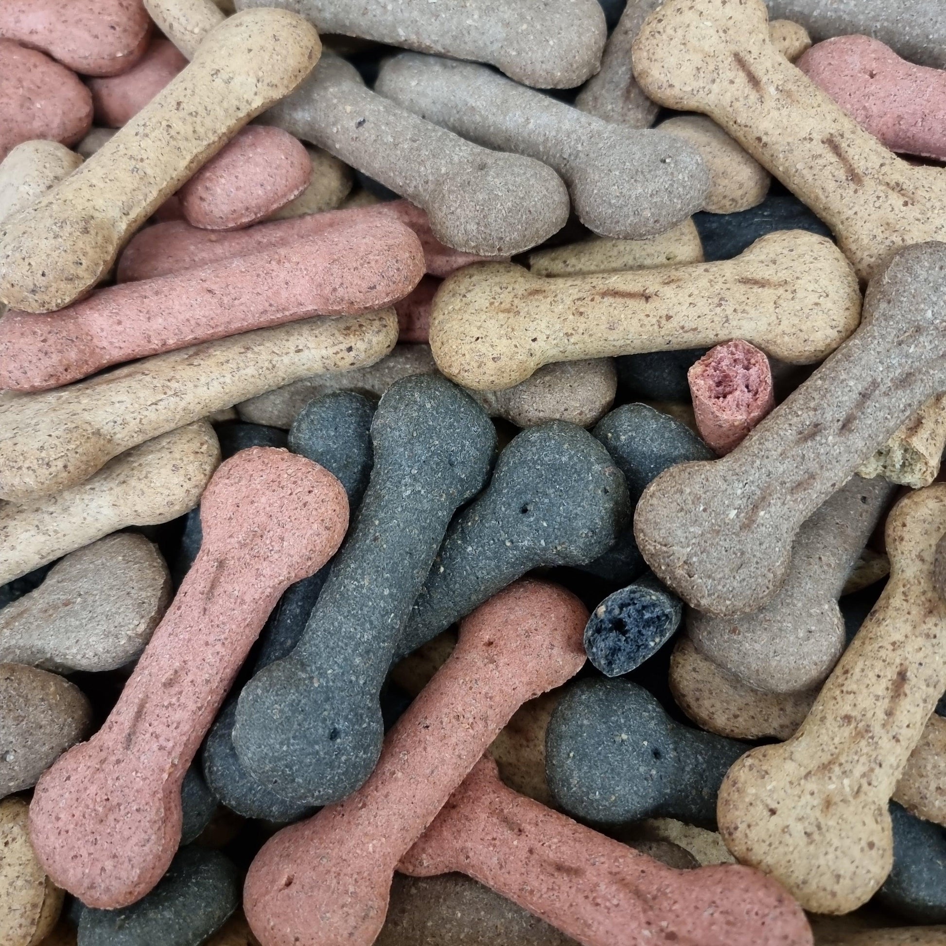 Assorted Large Dog Bones - North East Pet Shop North East Pet Shop