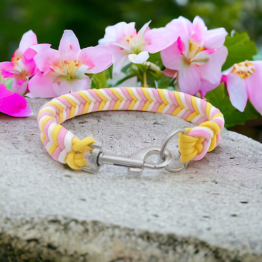 Fruit Salad - Handmade Paracord Dog Collar