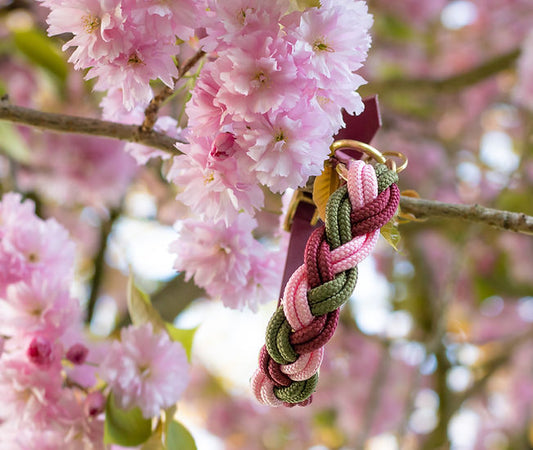 Entwined Collar - Handmade Paracord Dog Collar