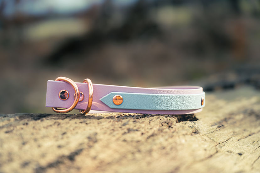 Strip Biothane Collar - Handmade Biothane Dog Collar