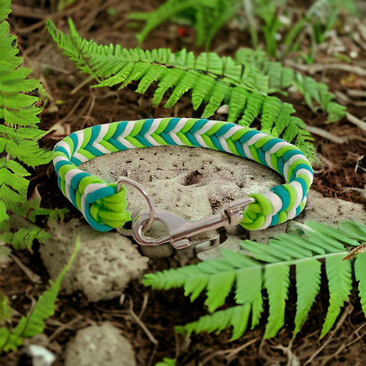 Apple Sours - Handmade Paracord Dog Collar