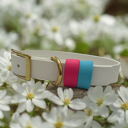 Classic Biothane with double keep - Handmade Classic Biothane Dog Collar