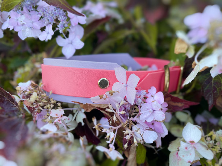 Hound Collar - Handmade Hound Biothane Dog Collar.