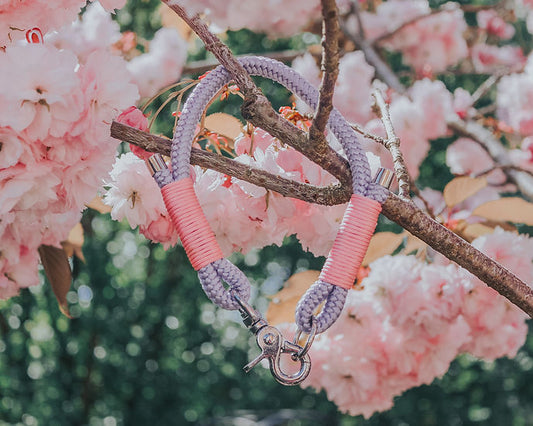 Clip Rope Collar - Handmade Paracord Dog Collar