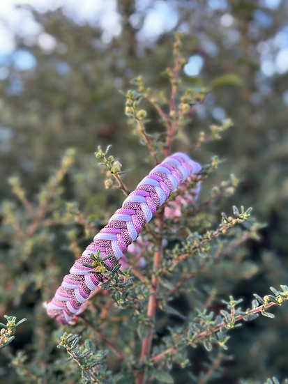 Sugarplum Fairy Braided - Handmade Paracord Dog Collar