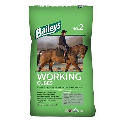 Baileys No. 02 Working Cubes - North East Pet Shop Baileys