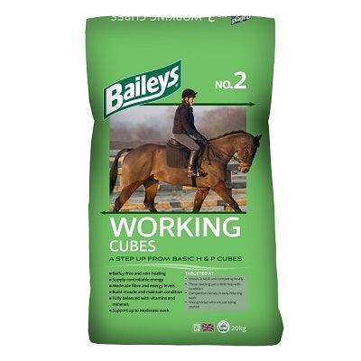 Baileys No. 02 Working Cubes - North East Pet Shop Baileys