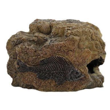 Betta Small Fossil Rock - North East Pet Shop Betta