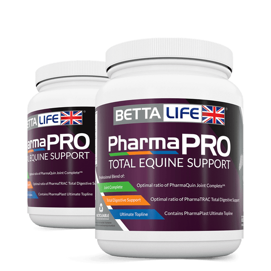 BETTAlife PharmaPro Total Equine Support - North East Pet Shop BETTAlife