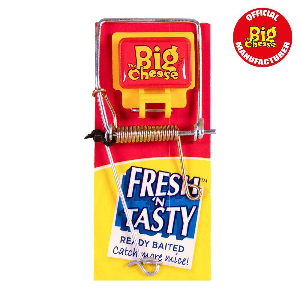 Big Cheese Fresh Baited Mouse Trap - North East Pet Shop Big Cheese