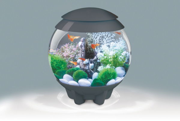 Biorb Halo 15 Multi Coloured Light Grey 15ltr - North East Pet Shop Biorb